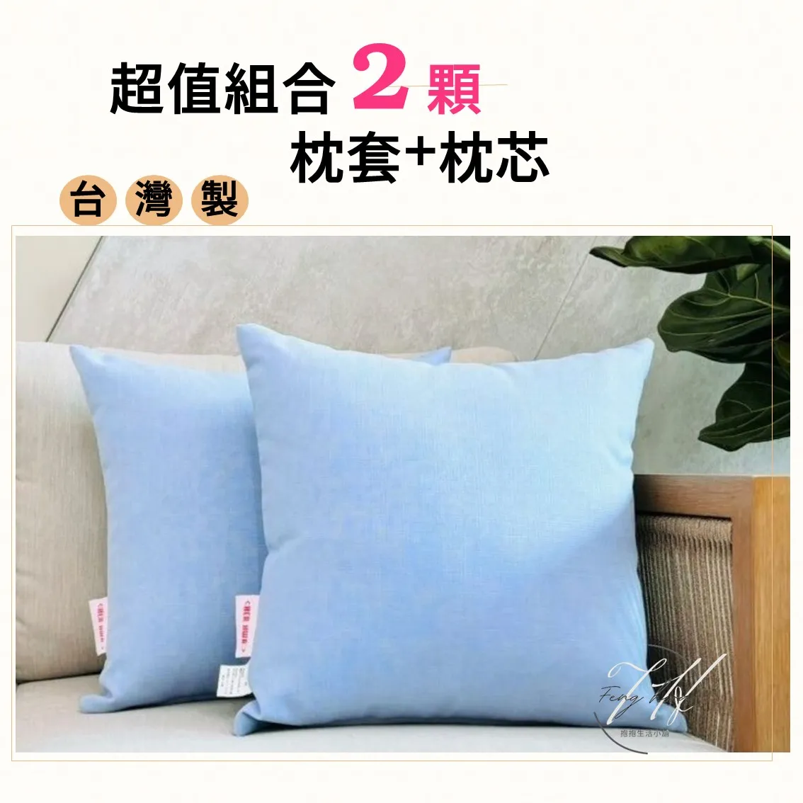 台灣製 素色抱枕 沙發抱枕 防潑水 45x45【水藍2入】