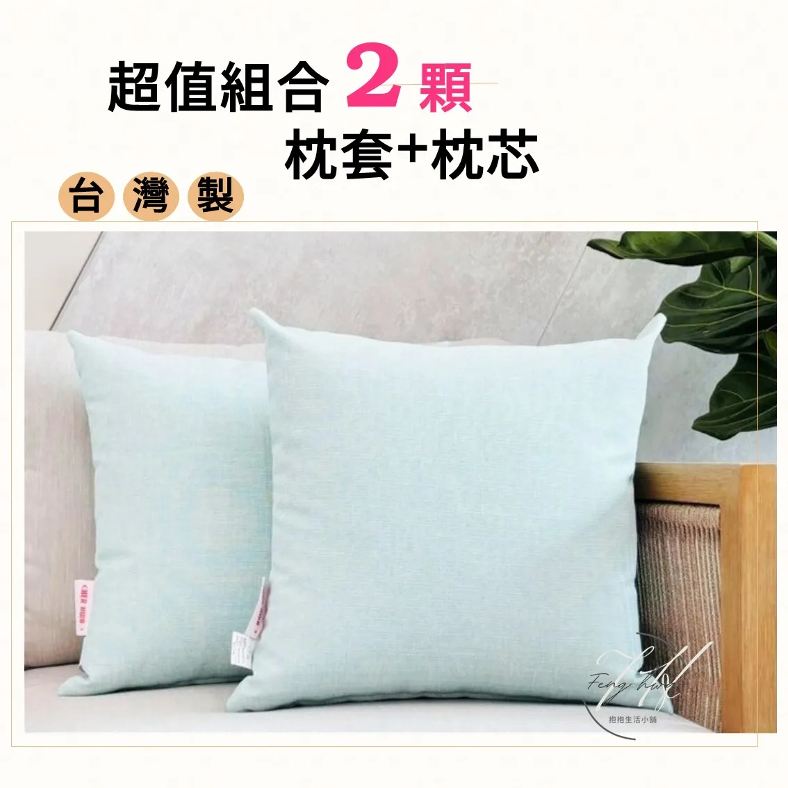 台灣製 素色抱枕 沙發抱枕 防潑水 45x45【淺綠2入】