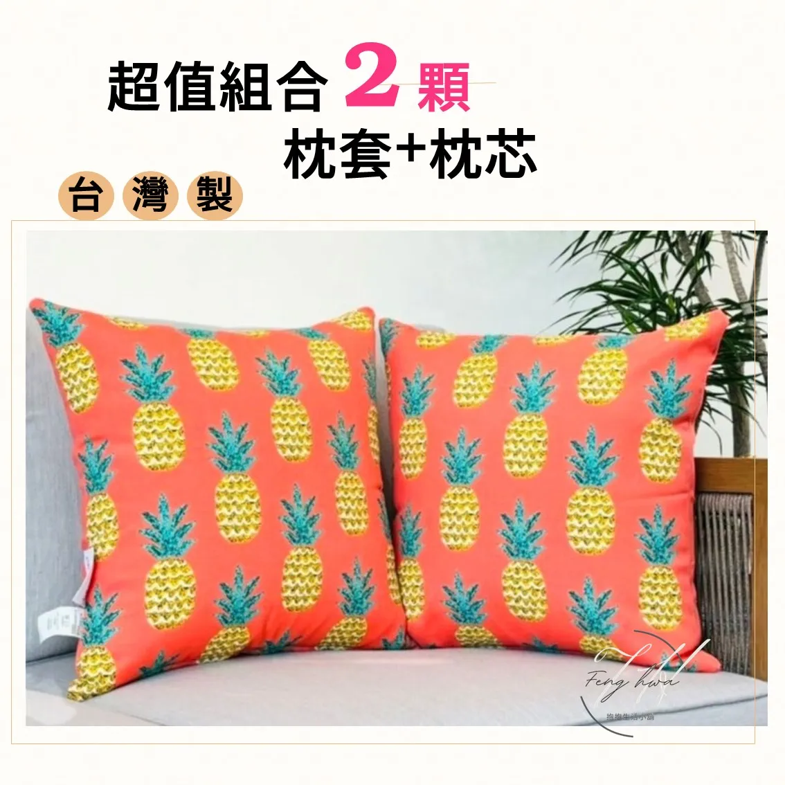 台灣製 抱枕 沙發靠墊 防潑水 45x45 2入【枕套+枕芯】